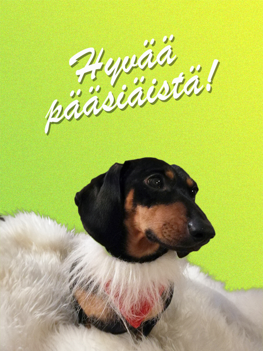 muokattu