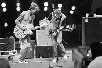 Stray cats