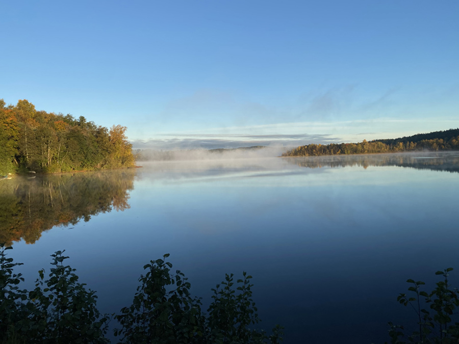 Usvaa Tohlopinjärvellä aamuauringossa