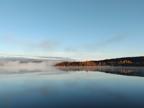 Usvaa Tohlopinjärvellä aamuauringossa
