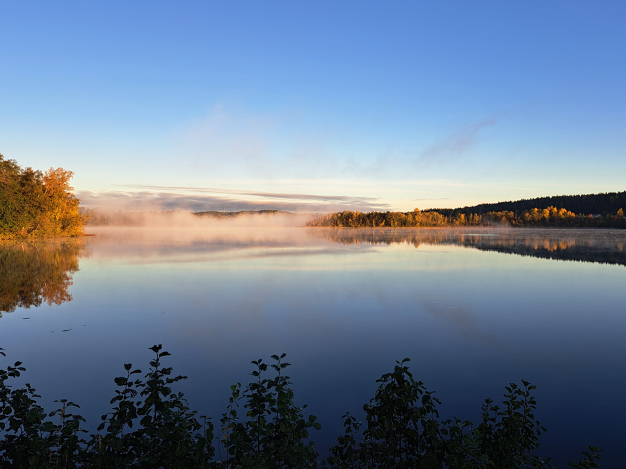 Usvaa Tohlopinjärvellä aamuauringossa