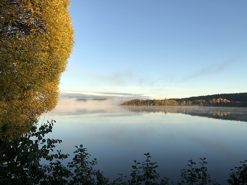 Usvaa Tohlopinjärvellä aamuauringossa