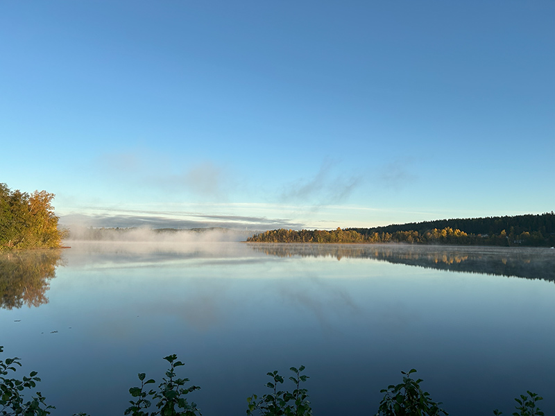 Usvaa Tohlopinjärvellä aamuauringossa