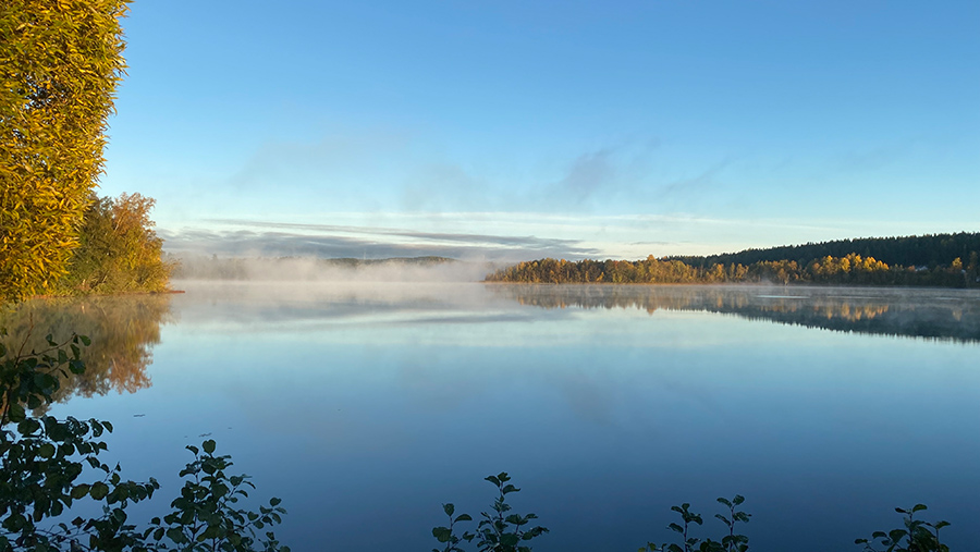 Usvaa Tohlopinjärvellä aamuauringossa