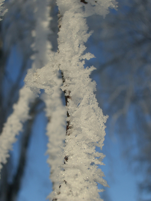 alkuperäinen