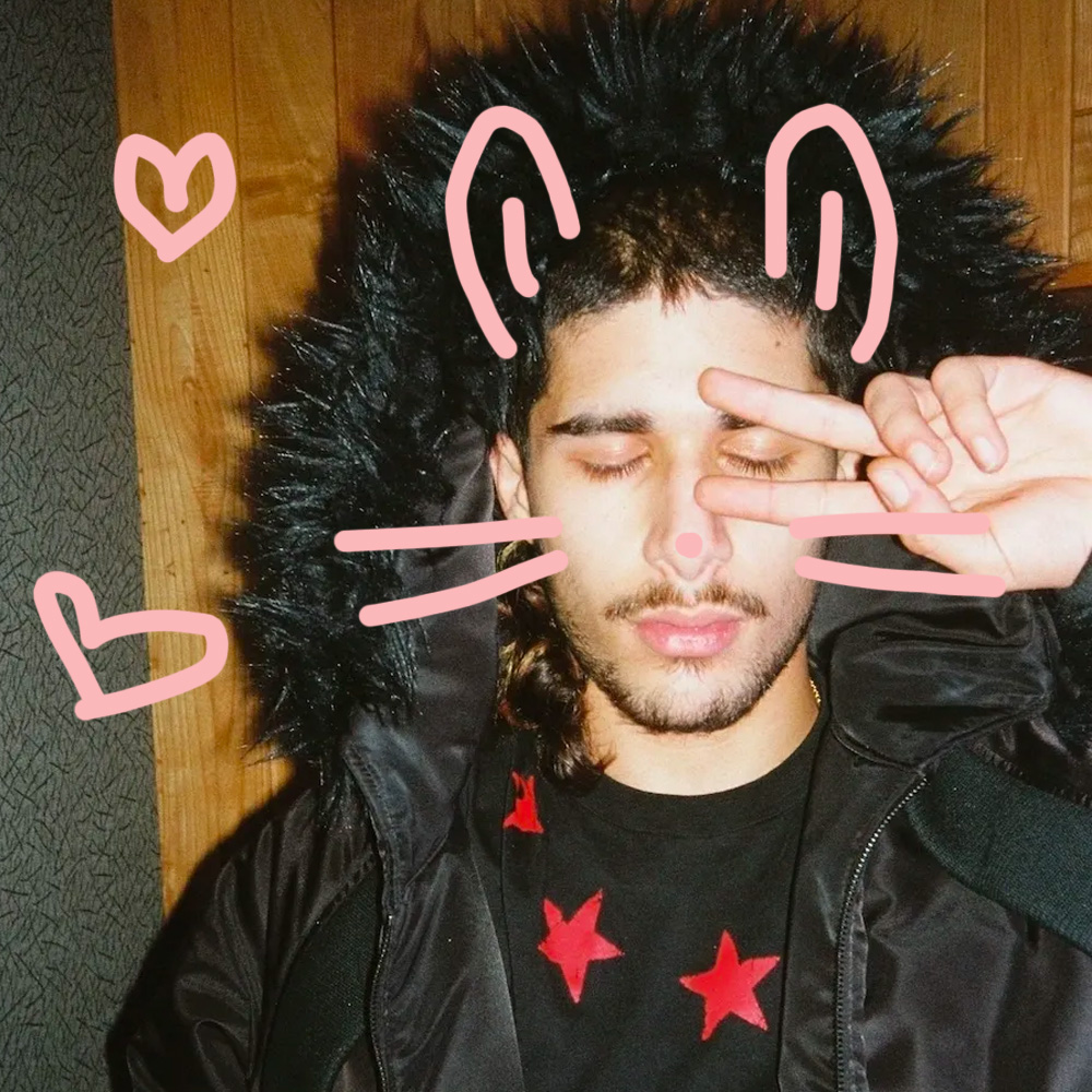 fakemink