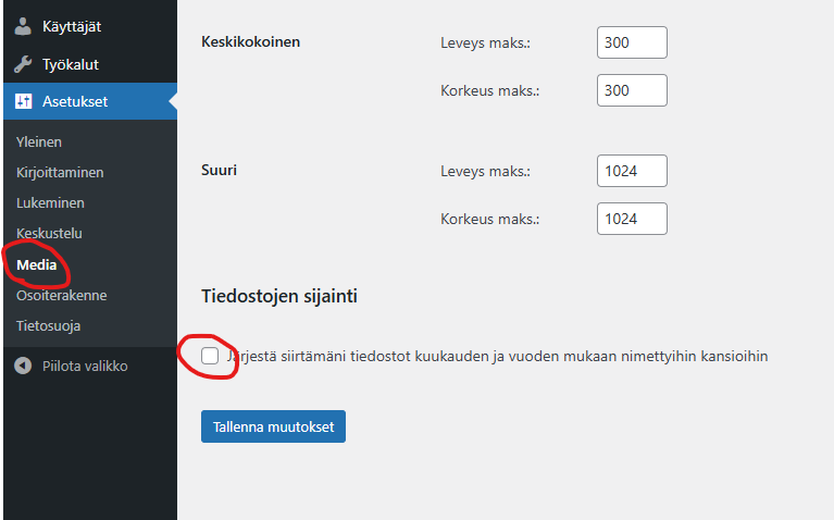 Ruutukaappaus Asetusten kohdasta Media.