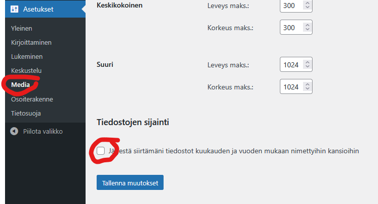 Ruutukaappaus asetusten kohdasta Media
