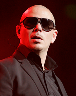 pitbull
