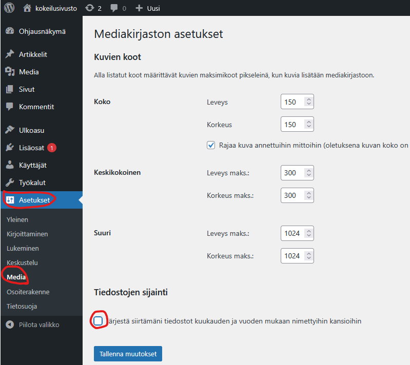 Ruutukaappaus asetusten kohdasta media.