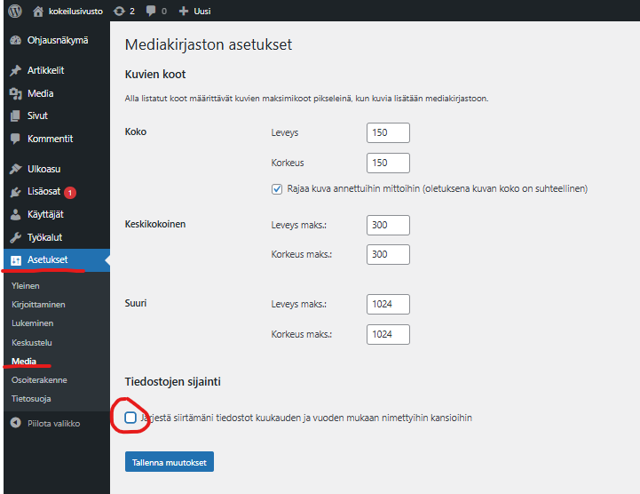 Ruutukaappaus asetusten kohdasta Media.